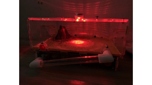 B2 Super size! Ant farm (size350x240x130) with light (new design special price)