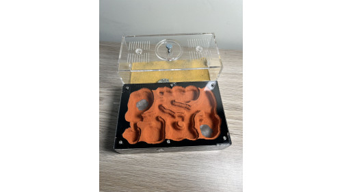 F5 Large cement (plaster) ant farm (180 x 200 x 90mm) 