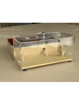 F5 Large cement (plaster) ant farm ( sand color) (180 x 200 x 90mm) 