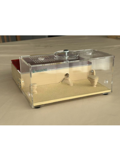 F5 Large cement (plaster) ant farm ( sand color) (180 x 200 x 90mm) 