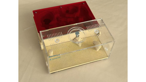 F5 Large cement (plaster) ant farm ( sand color) (180 x 200 x 90mm) 