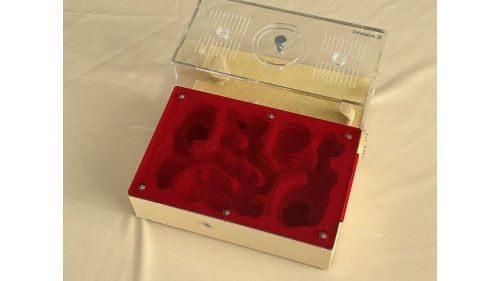 F5 Large cement (plaster) ant farm ( sand color) (180 x 200 x 90mm) 