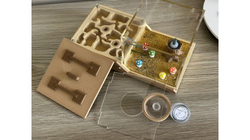 Huberia striata colony with 2 queens and 200+ workers, lots lots of eggs in W3 farm set