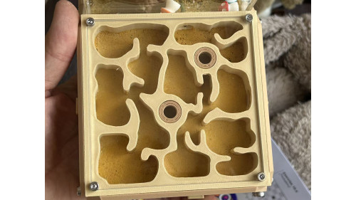 Huberia striata colony with 2 queens and 200+ workers, lots lots of eggs in W3 farm set