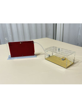 D3 Farm Nest with living area - Expandable Sand Digging Habitat for Small Ants