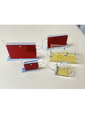 D1, D2, D3 Farms with Small and Large Living Areas Complete Ant Colony Kit