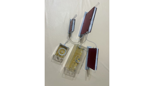 D1, D2, D3 Farms with Small and Large Living Areas Complete Ant Colony Kit