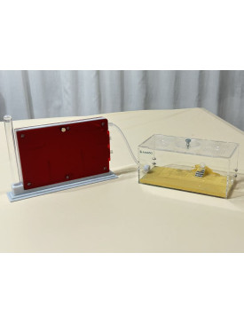 D3 Farm Nest with living area - Expandable Sand Digging Habitat for Small Ants