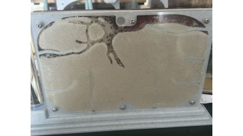 D1, D2, D3 Farms with Small and Large Living Areas Complete Ant Colony Kit