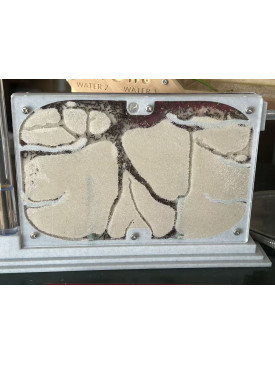 Nylanderia Ant Colony with D3 Habitat Set - Complete Starter Kit