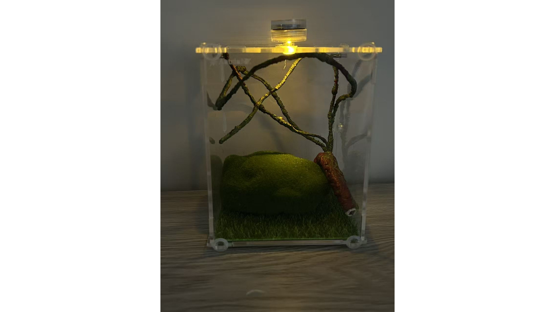 enclosure : L2 - insect enclosure (include everything in ...