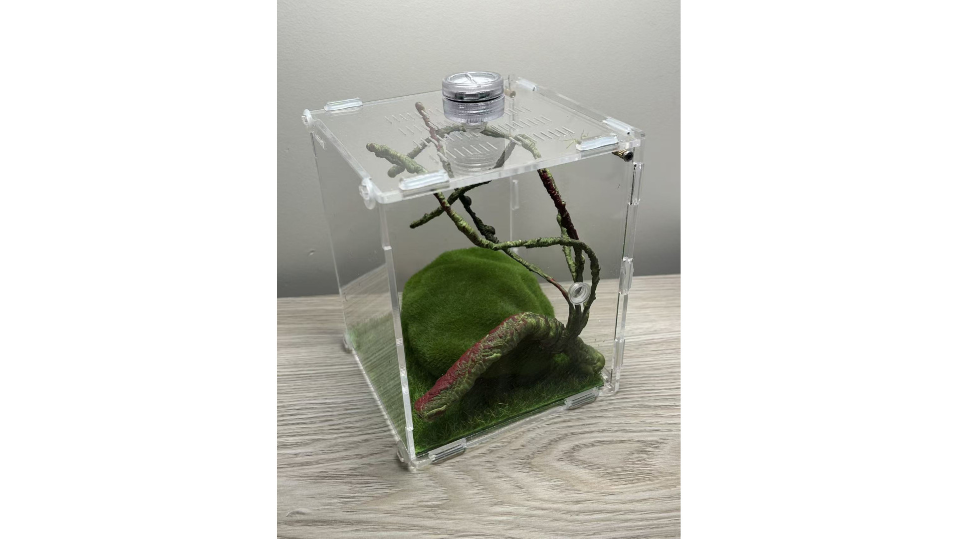 enclosure : L2 - insect enclosure (include everything in ...