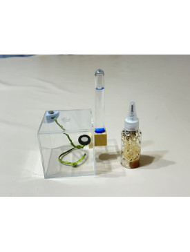 Jumping spider small house set