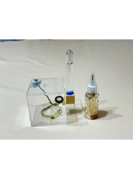 Jumping spider small house set