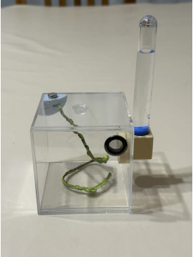 E1 Spider or other insect enclosure ( full set )