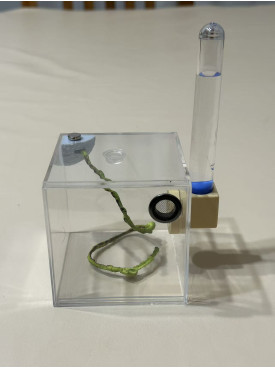 E1 Spider or other insect enclosure ( 7.5x7.5x7.5 cm ) E1 Spider or other insect enclosure ( 7.5x7.5x7.5 cm )
