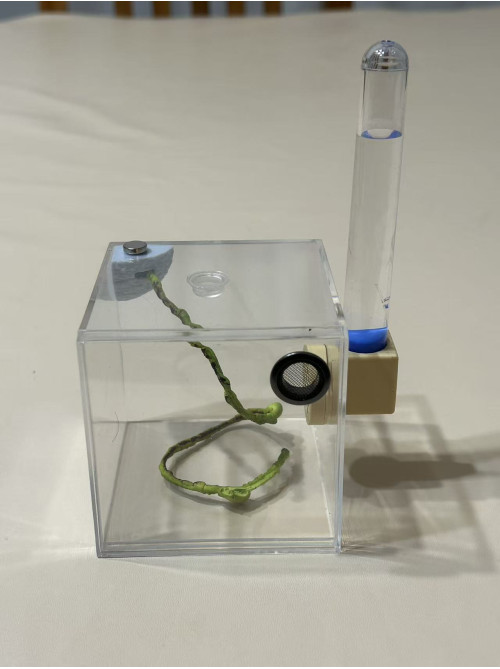 E1 Spider or other insect enclosure ( 7.5x7.5x7.5 cm ) E1 Spider or other insect enclosure ( 7.5x7.5x7.5 cm )