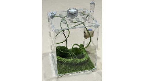 Jumping spider large house set Jumping spider large house set