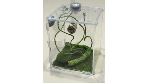 Jumping spider large house set Jumping spider large house set