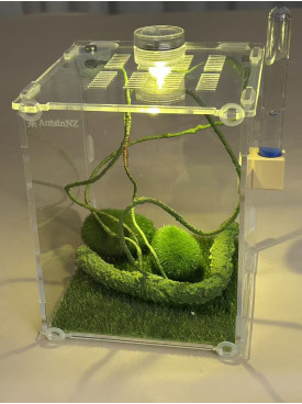 L2 - insect enclosure (include everything in photo)