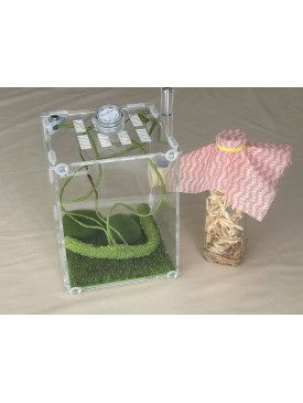 Jumping spider large house set