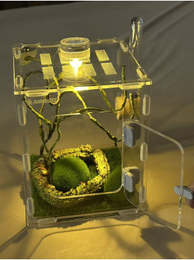 L2 - insect enclosure (include everything in photo)