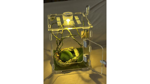 Jumping spider large house set