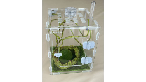 L2 - insect enclosure (include everything in photo) L2 - insect enclosure (include everything in photo)