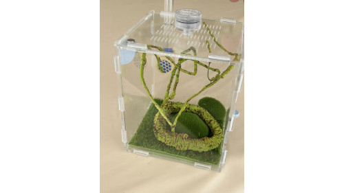 L2 - insect enclosure (include everything in photo) L2 - insect enclosure (include everything in photo)