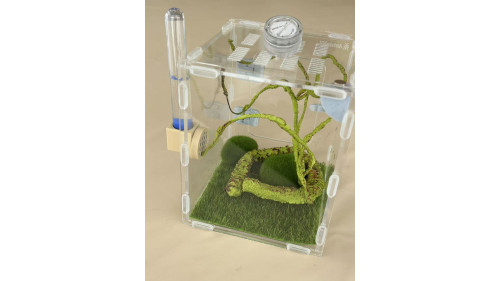L2 - insect enclosure (include everything in photo) L2 - insect enclosure (include everything in photo)
