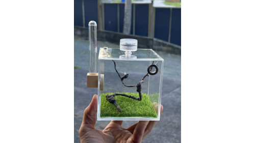 E2 Spider or other insect enclosure ( full set ) E2 Spider or other insect enclosure ( full set )