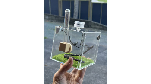 E2 Spider or other insect enclosure ( full set ) E2 Spider or other insect enclosure ( full set )