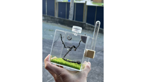 E2 Spider or other insect enclosure ( full set ) E2 Spider or other insect enclosure ( full set )