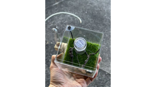 E2 Spider or other insect enclosure ( full set ) E2 Spider or other insect enclosure ( full set )