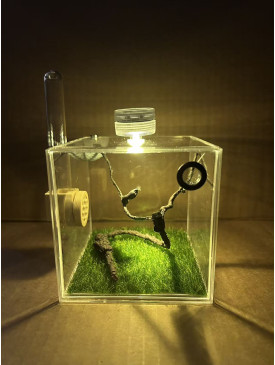 E2 Spider or other insect enclosure ( full set )