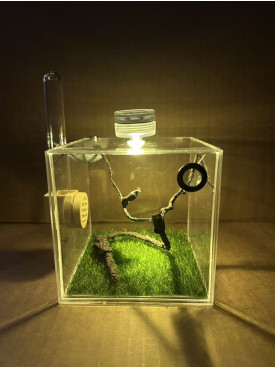 E2 Spider or other insect enclosure ( 10x10x10 cm ) E2 Spider or other insect enclosure ( 10x10x10 cm )