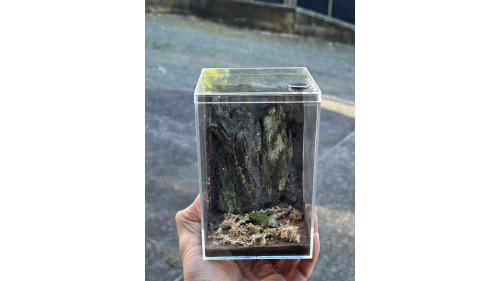 E3 Spider Enclosure – 10 x 10 x 15 cm (Tall Version) E3 Spider Enclosure – 10 x 10 x 15 cm (Tall Version)