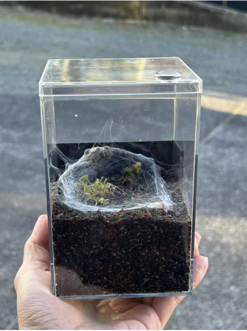 E3 Spider Enclosure – 10 x 10 x 15 cm (Tall Version) E3 Spider Enclosure – 10 x 10 x 15 cm (Tall Version)