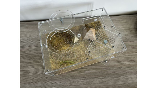 X large Spider, praying mantis, ant living area or other insect enclosure