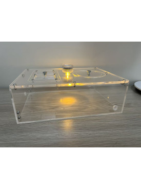 X large Spider, praying mantis, ant living area or other insect enclosure