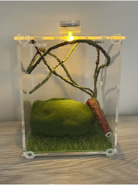 L2 - insect enclosure (include everything in photo)