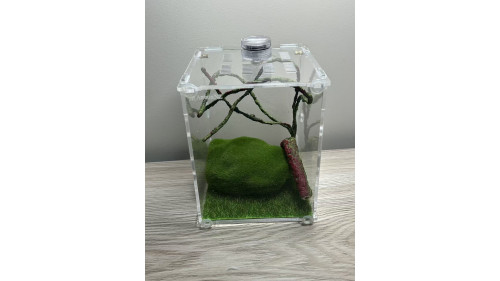 L2 - insect enclosure (include everything in photo)