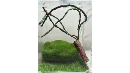 L2 - insect enclosure (include everything in photo)