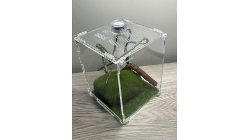 L2 - insect enclosure (include everything in photo)