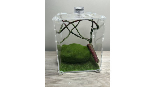 L2 - insect enclosure (include everything in photo)