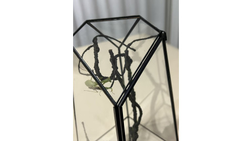 Soldered Glass Enclosure – 140x140x260 mm