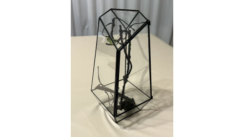 Soldered Glass Enclosure – 140x140x260 mm