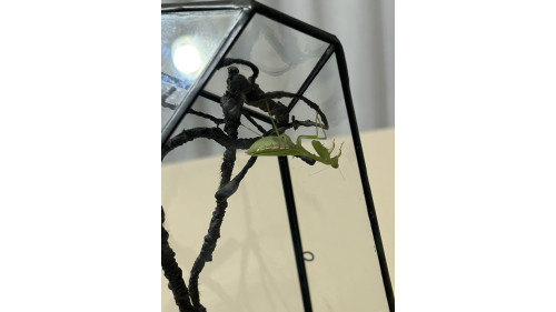 Soldered Glass Enclosure – 140x140x260 mm