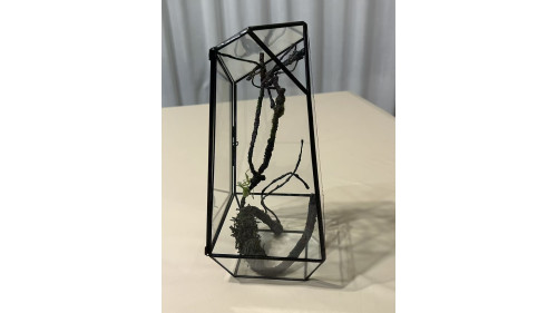 Soldered Glass Enclosure – 140x140x260 mm