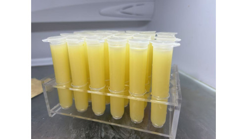 Jelly Food - Formulated food